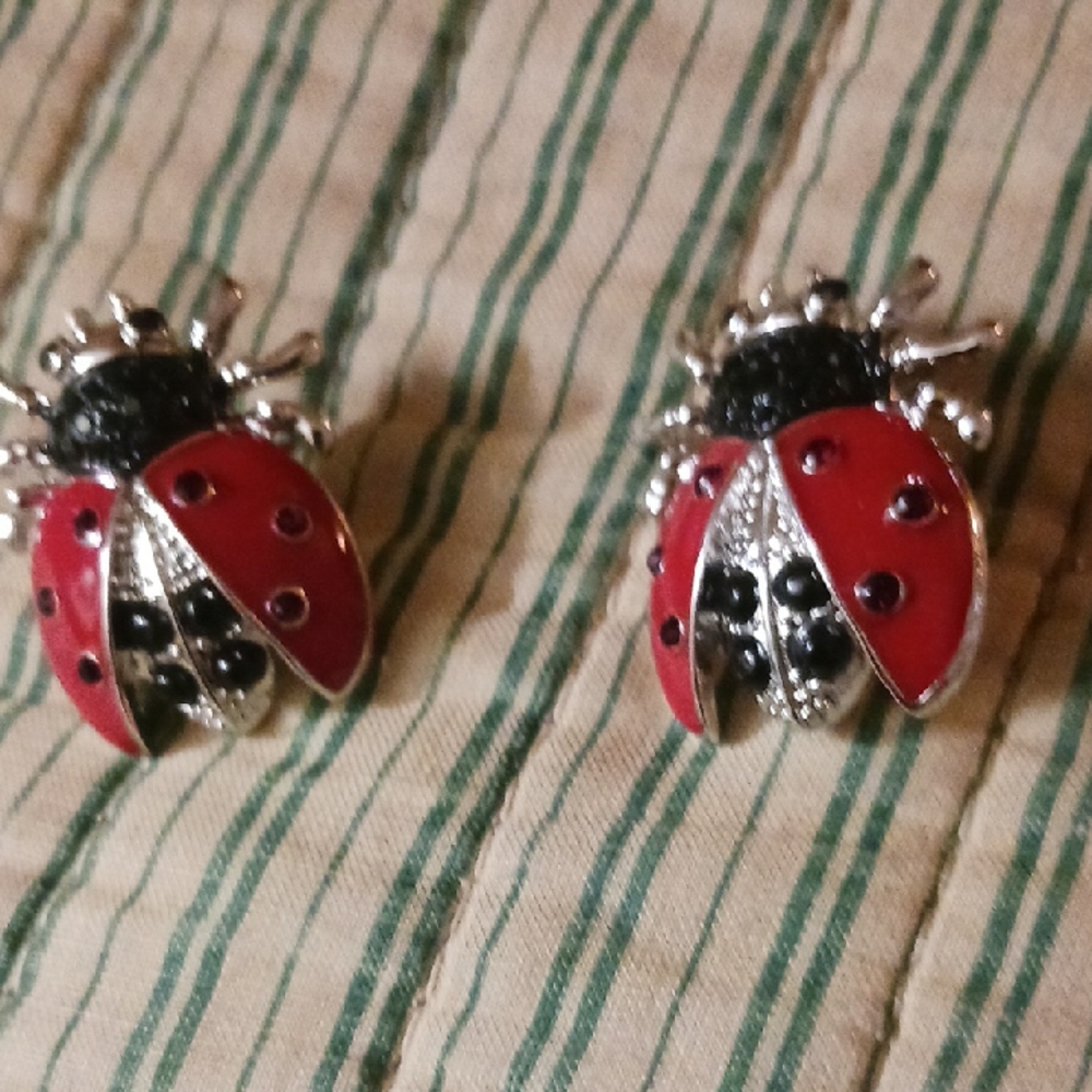 Red and Black Ladybug Earrings